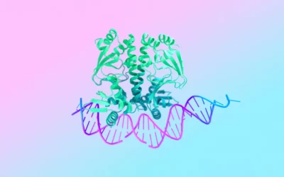 DeepMind lancia AlphaFold3: la nuova frontiera dell’AI in biologia